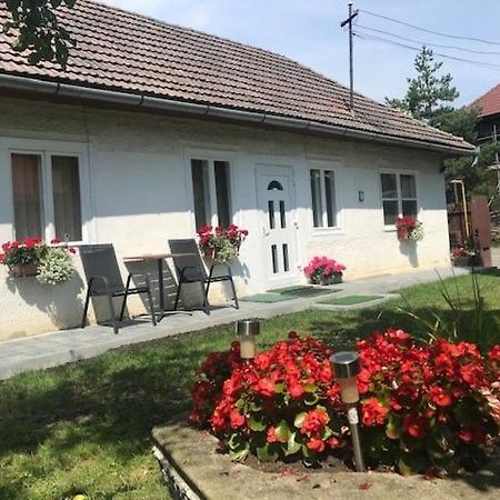 Casuta Sanatatii Hotel Covasna Bagian luar foto