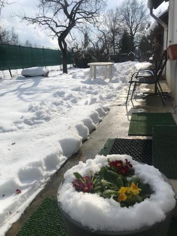 Casuta Sanatatii Hotel Covasna Bagian luar foto
