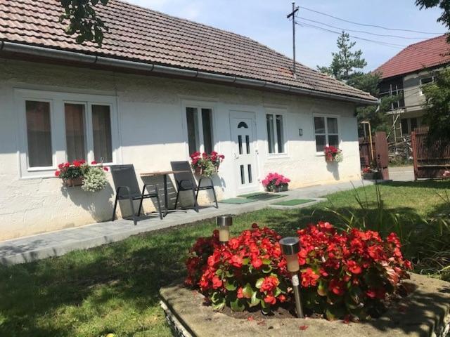 Casuta Sanatatii Hotel Covasna Bagian luar foto