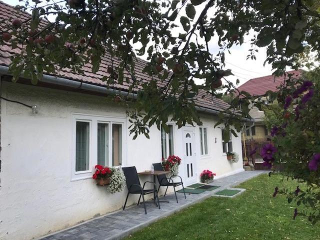 Casuta Sanatatii Hotel Covasna Bagian luar foto