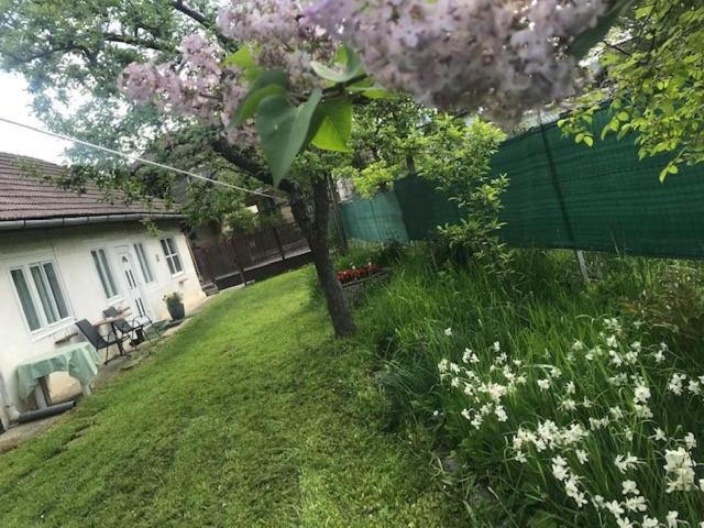 Casuta Sanatatii Hotel Covasna Bagian luar foto