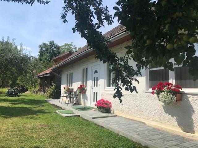 Casuta Sanatatii Hotel Covasna Bagian luar foto